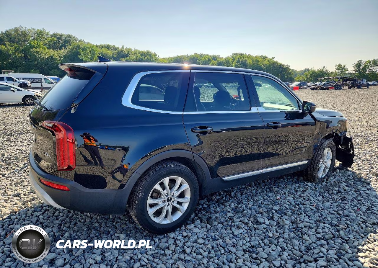 2020 Kia Telluride Lx VIN:5XYP2DHCXLG022861 - 3