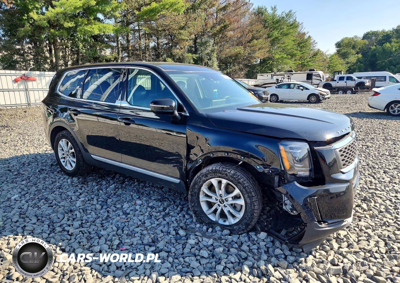 2020 Kia Telluride Lx VIN:5XYP2DHCXLG022861 - 4