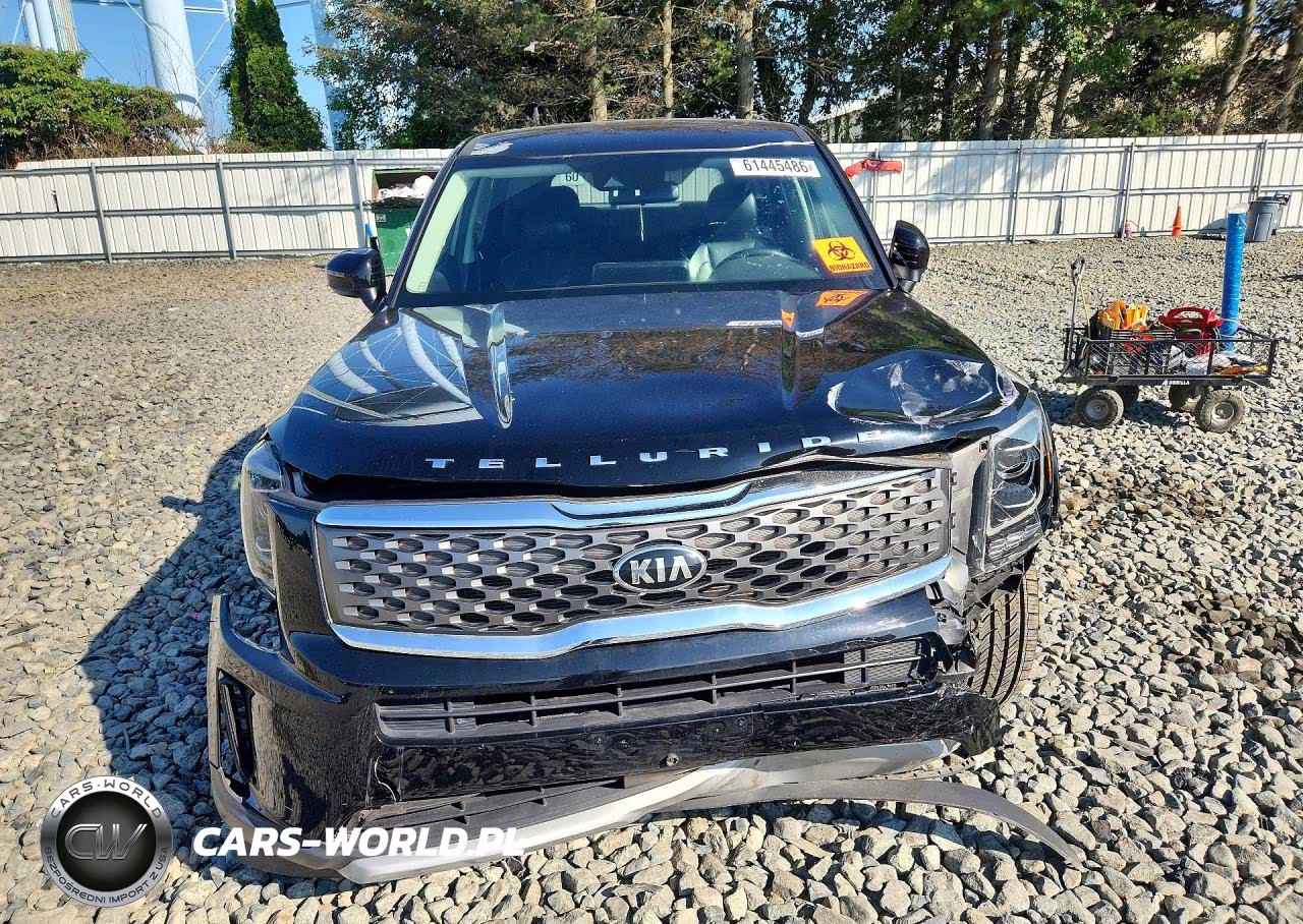 2020 Kia Telluride Lx VIN:5XYP2DHCXLG022861 - 5