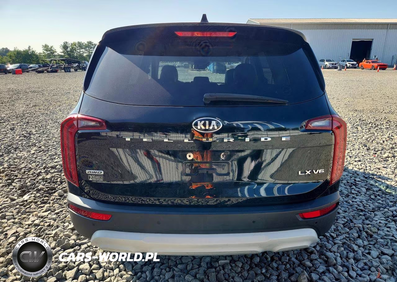 2020 Kia Telluride Lx VIN:5XYP2DHCXLG022861 - 6
