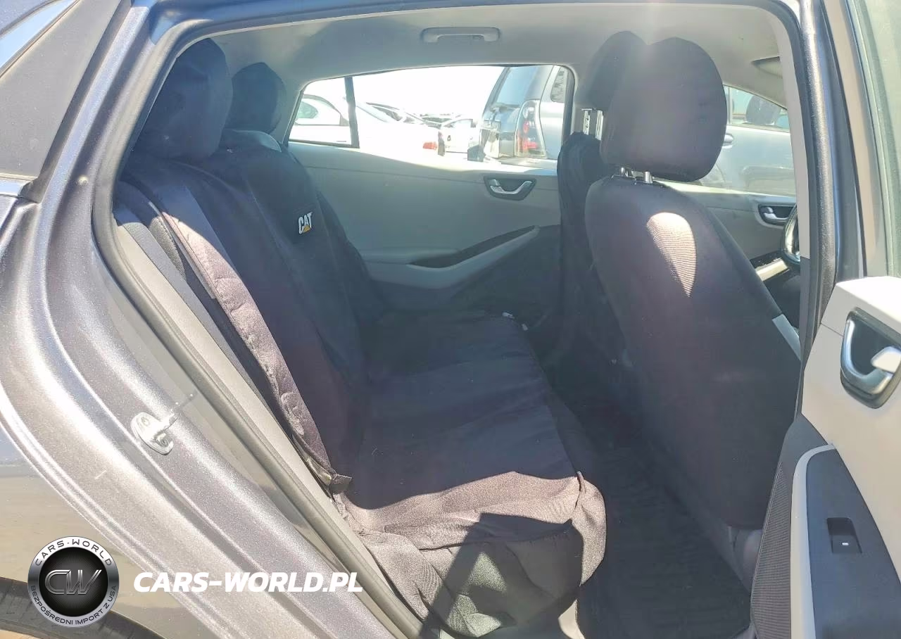 2019 Hyundai Ioniq Sel VIN:KMHC75LC1KU151481 - 10