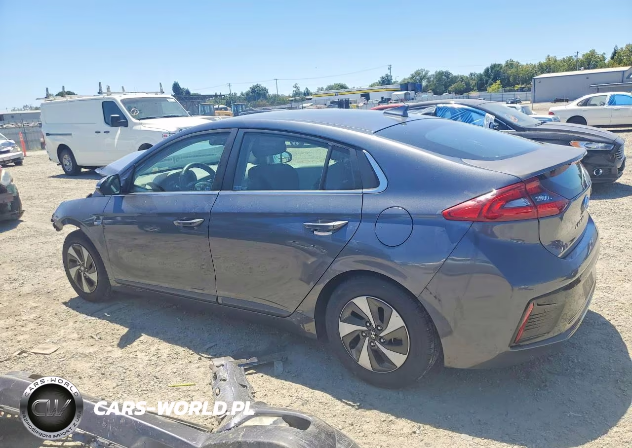 2019 Hyundai Ioniq Sel VIN:KMHC75LC1KU151481 - 2