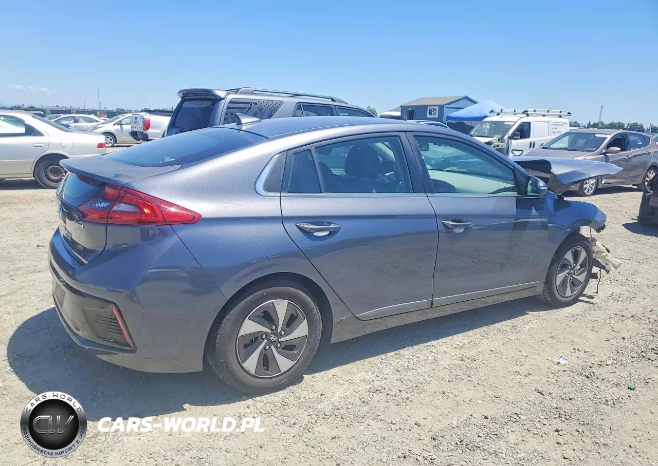2019 Hyundai Ioniq Sel VIN:KMHC75LC1KU151481 - 3