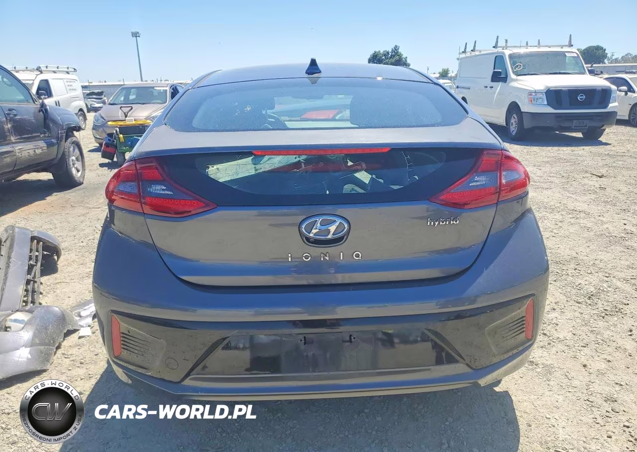 2019 Hyundai Ioniq Sel VIN:KMHC75LC1KU151481 - 6