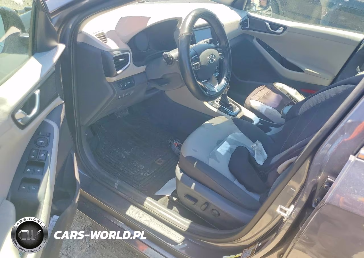 2019 Hyundai Ioniq Sel VIN:KMHC75LC1KU151481 - 8