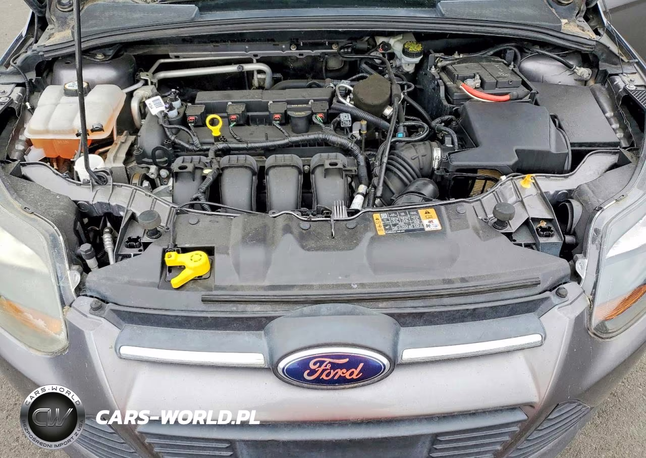 2014 Ford Focus Se VIN:1FADP3K20EL290409 - 11