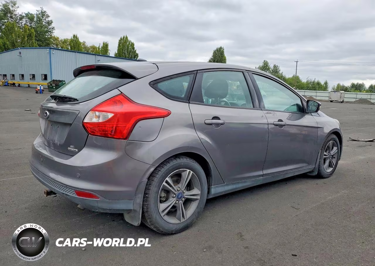 2014 Ford Focus Se VIN:1FADP3K20EL290409 - 3