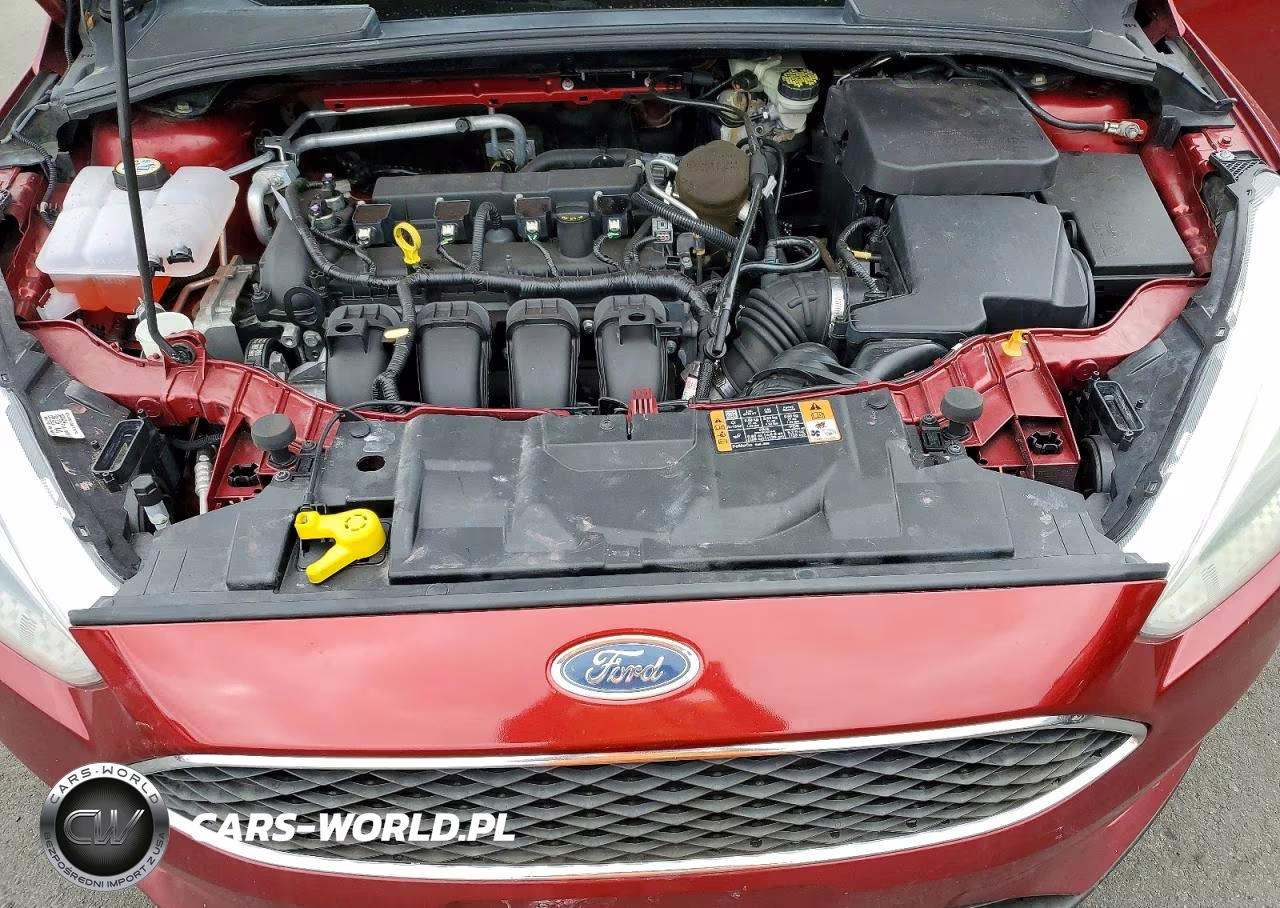 2015 Ford Focus Se VIN:1FADP3F24FL281479 - 11