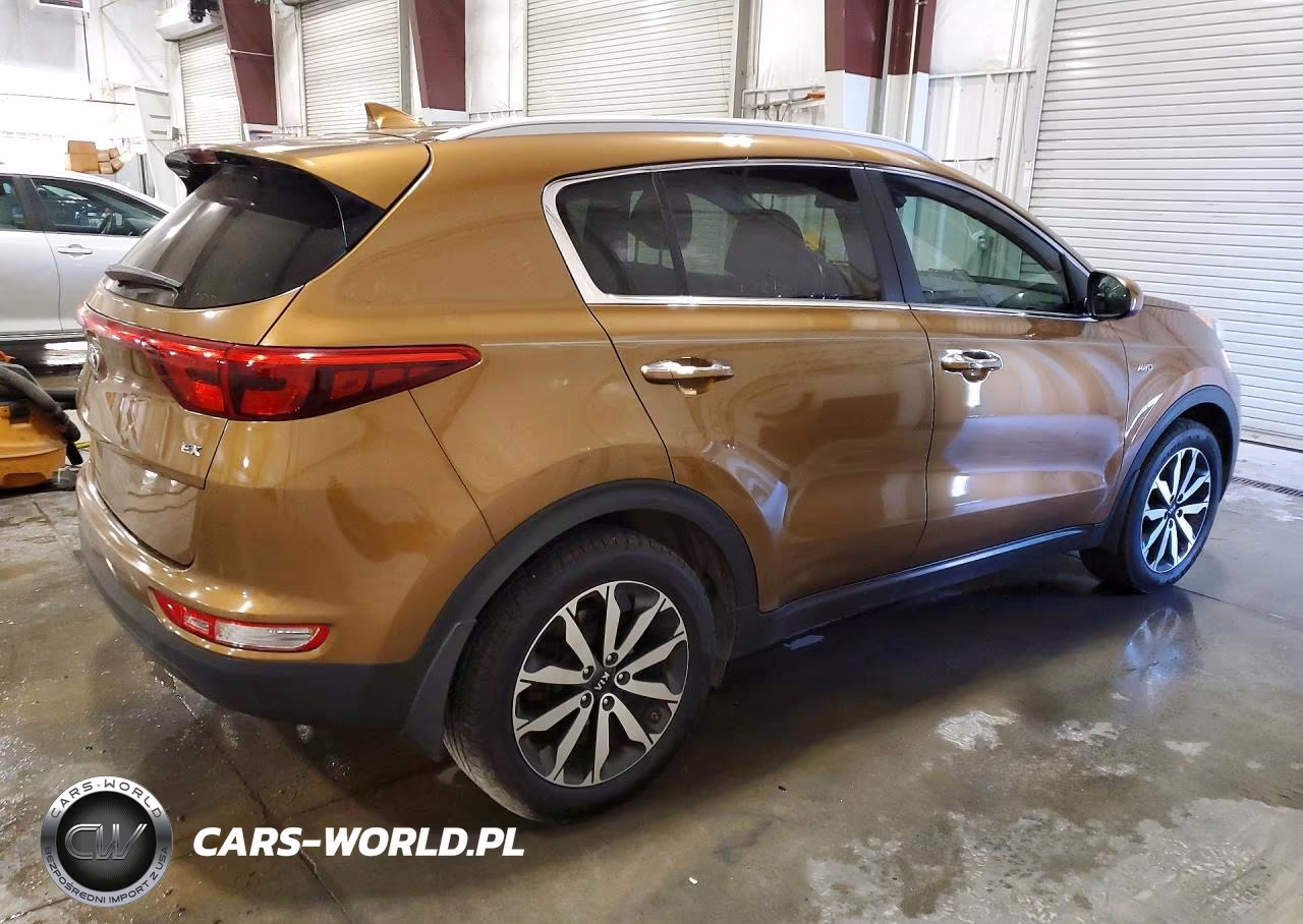 2017 Kia Sportage Ex VIN:KNDPNCAC3H7080469 - 3