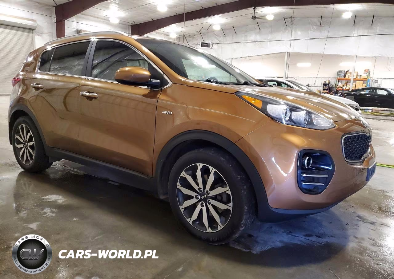 2017 Kia Sportage Ex VIN:KNDPNCAC3H7080469 - 4