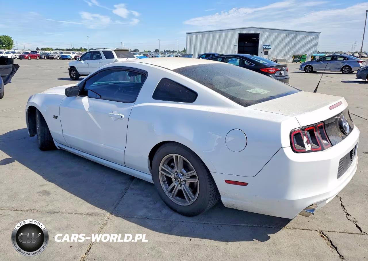 2014 Ford Mustang VIN:1ZVBP8AM1E5281513 - 2