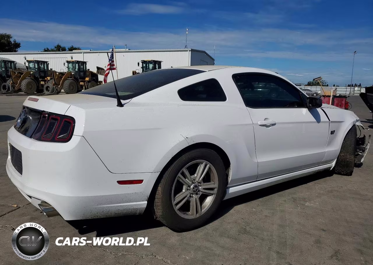 2014 Ford Mustang VIN:1ZVBP8AM1E5281513 - 3