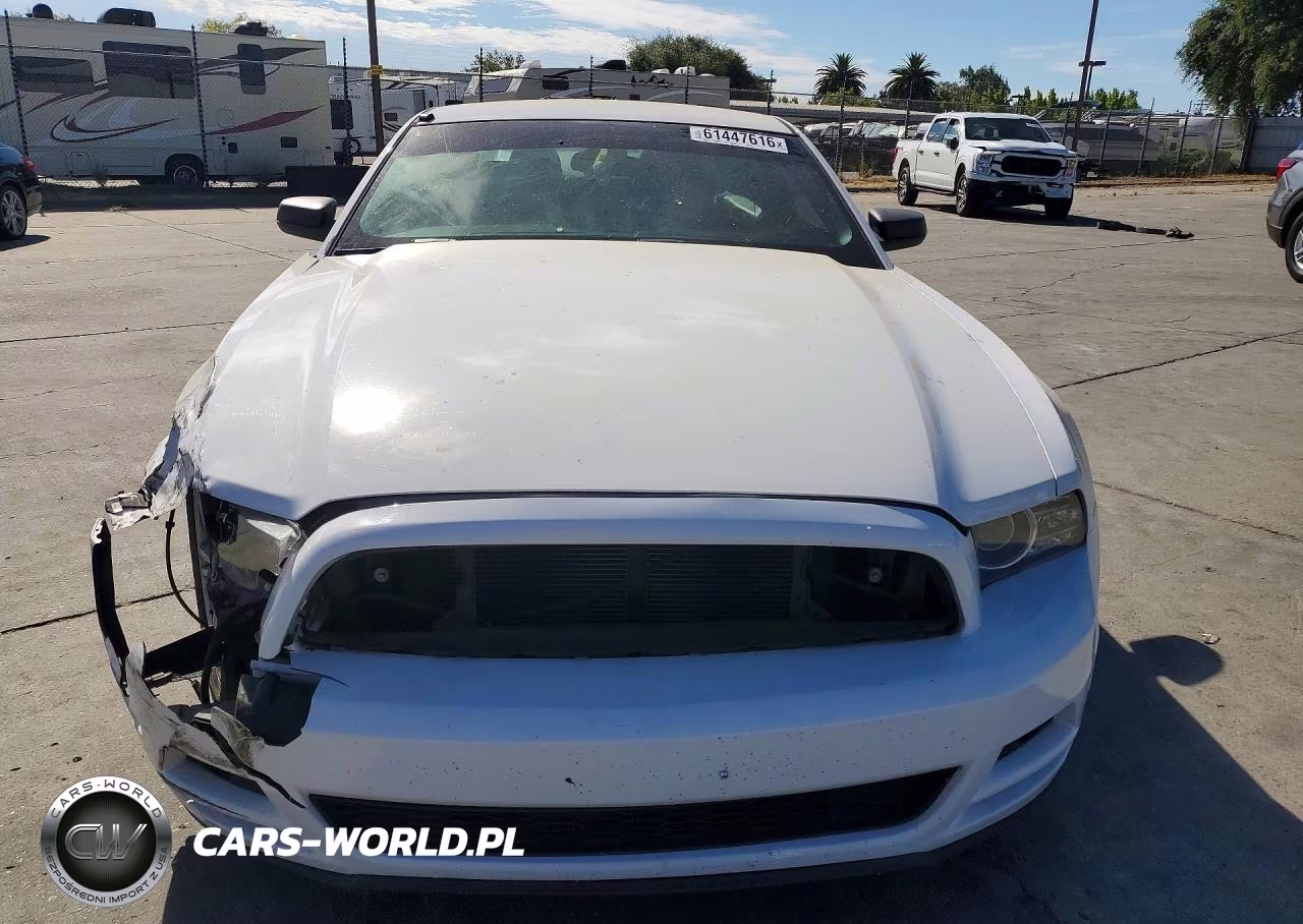 2014 Ford Mustang VIN:1ZVBP8AM1E5281513 - 5