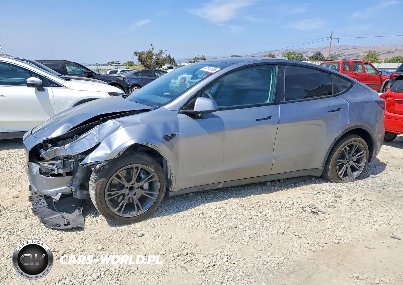 2025 Tesla Model Y VIN:7SAYGDED1SF311932 - 1