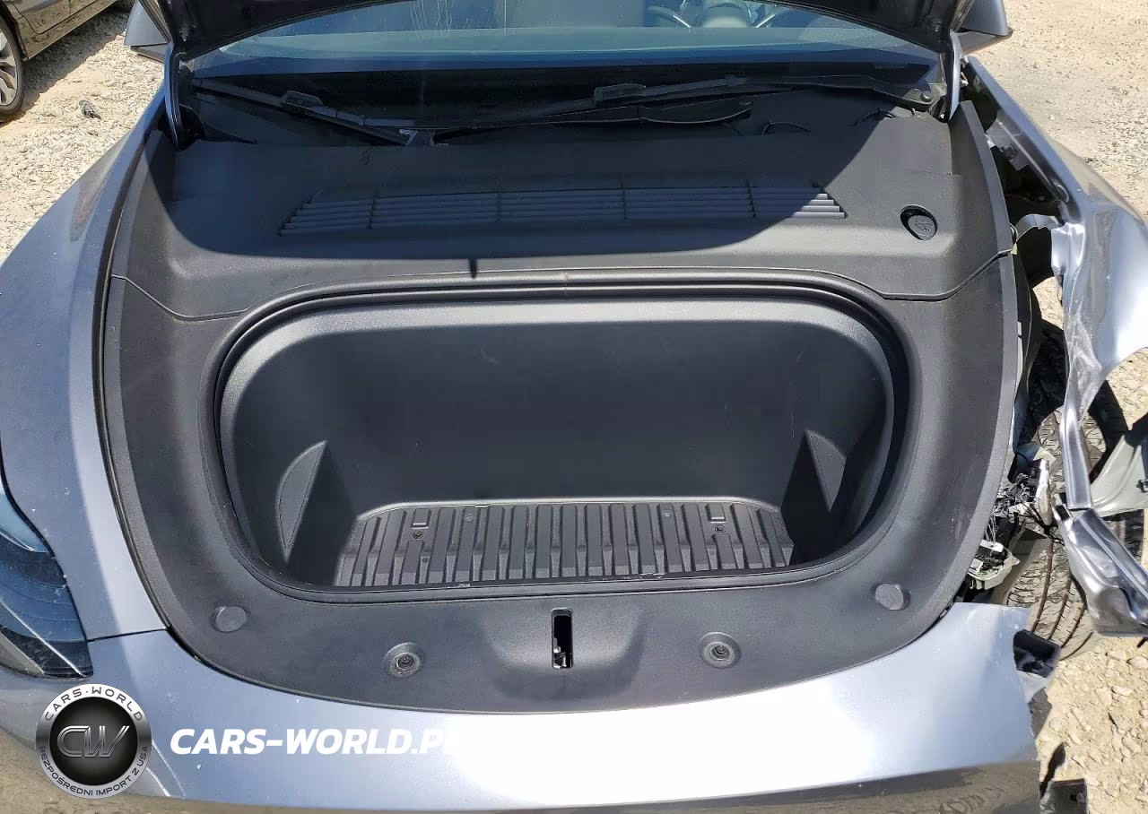 2025 Tesla Model Y VIN:7SAYGDED1SF311932 - 12
