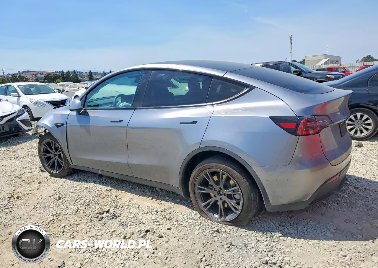 2025 Tesla Model Y VIN:7SAYGDED1SF311932 - 2