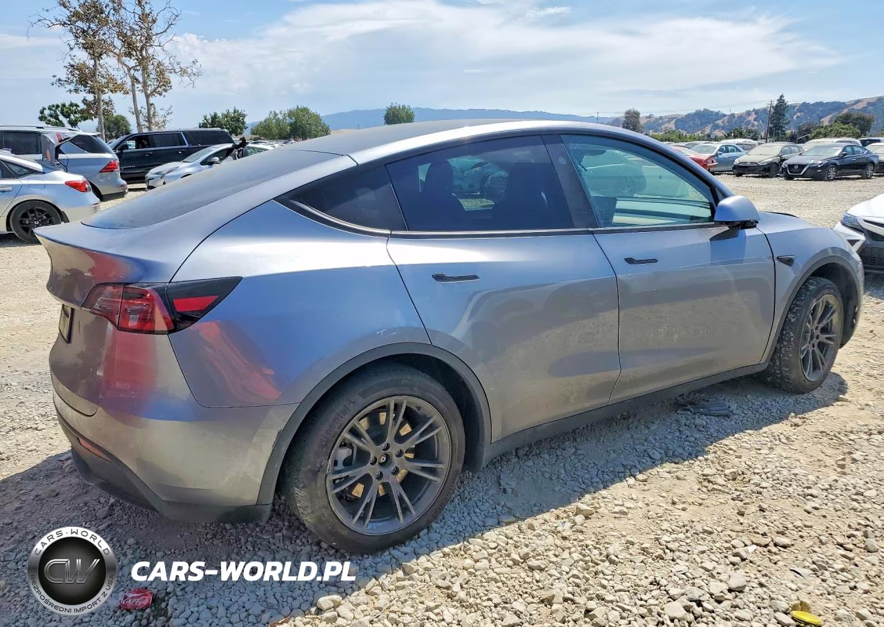 2025 Tesla Model Y VIN:7SAYGDED1SF311932 - 3