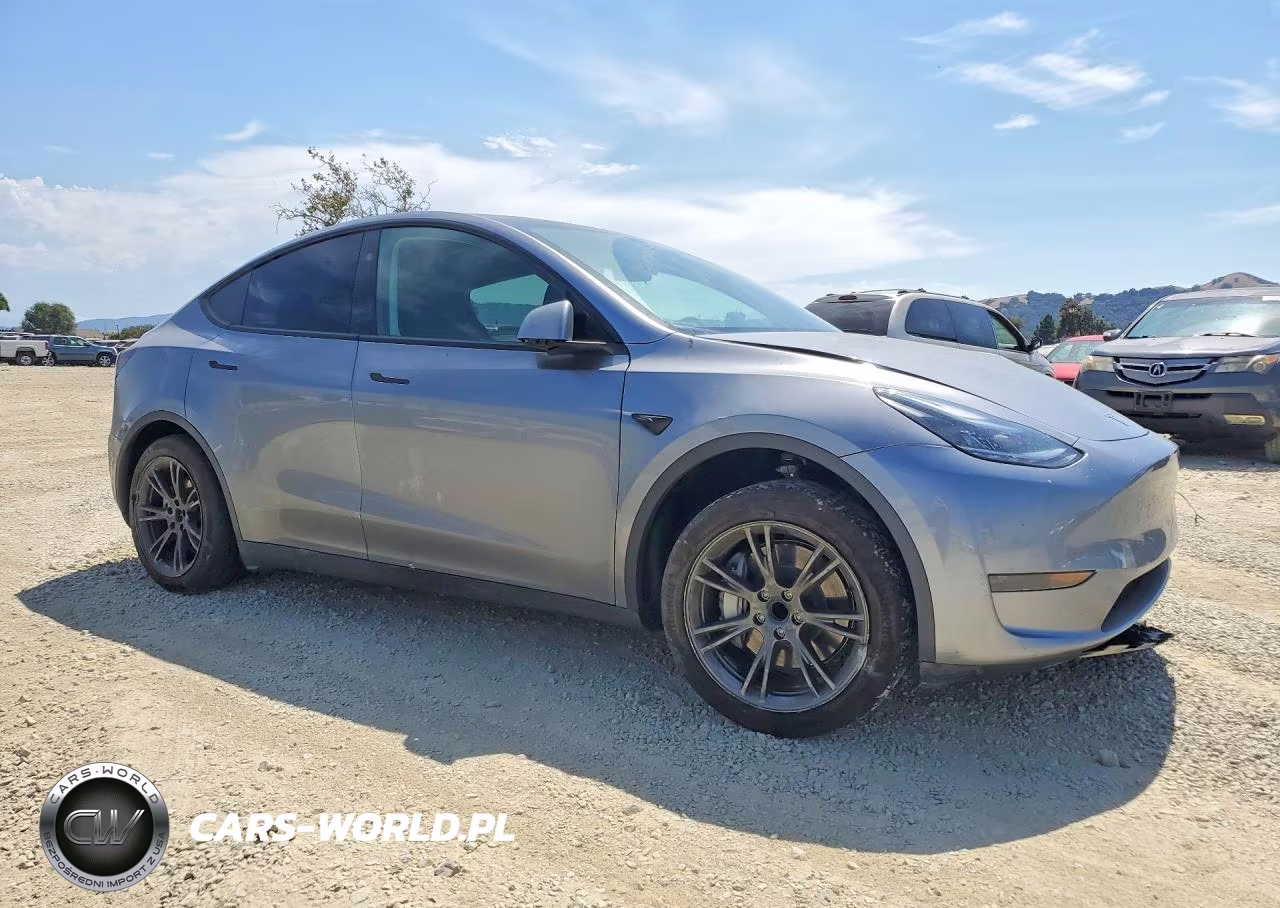 2025 Tesla Model Y VIN:7SAYGDED1SF311932 - 4