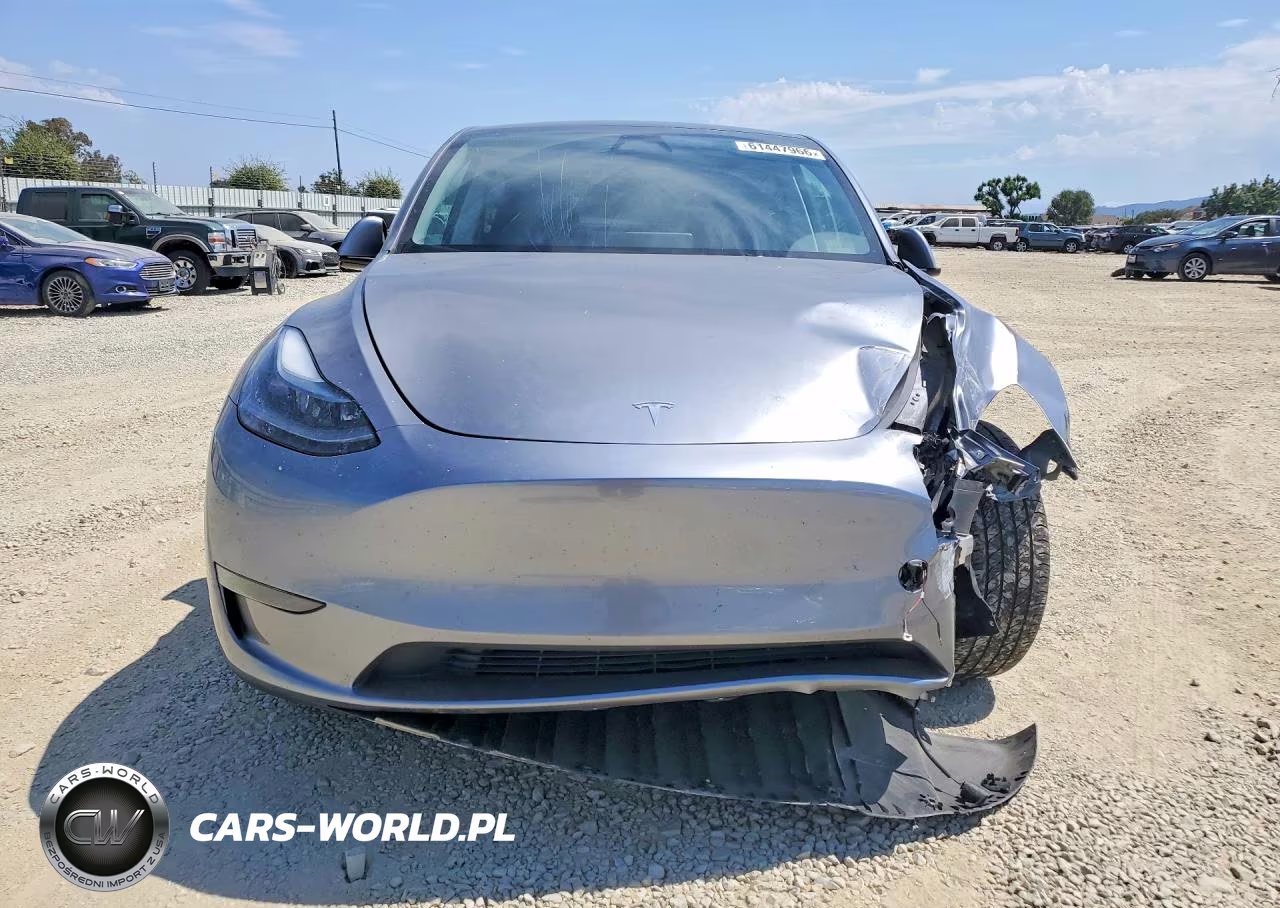 2025 Tesla Model Y VIN:7SAYGDED1SF311932 - 5