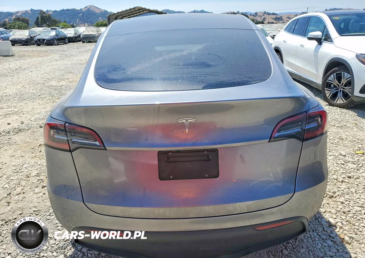 2025 Tesla Model Y VIN:7SAYGDED1SF311932 - 6