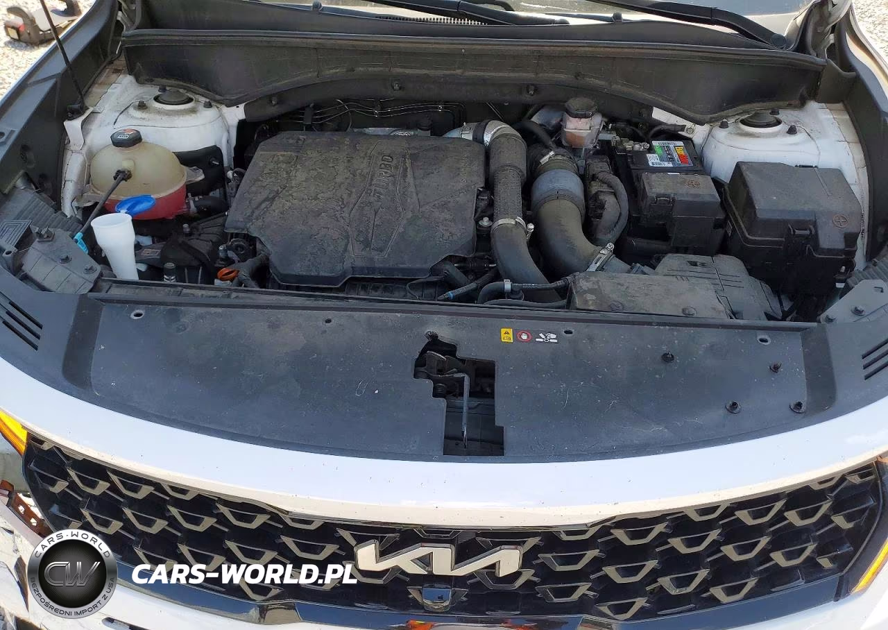 2023 Kia Sorento Sx Prestige VIN:5XYRKDLFXPG180455 - 12