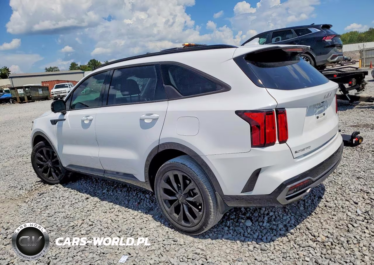 2023 Kia Sorento Sx Prestige VIN:5XYRKDLFXPG180455 - 2