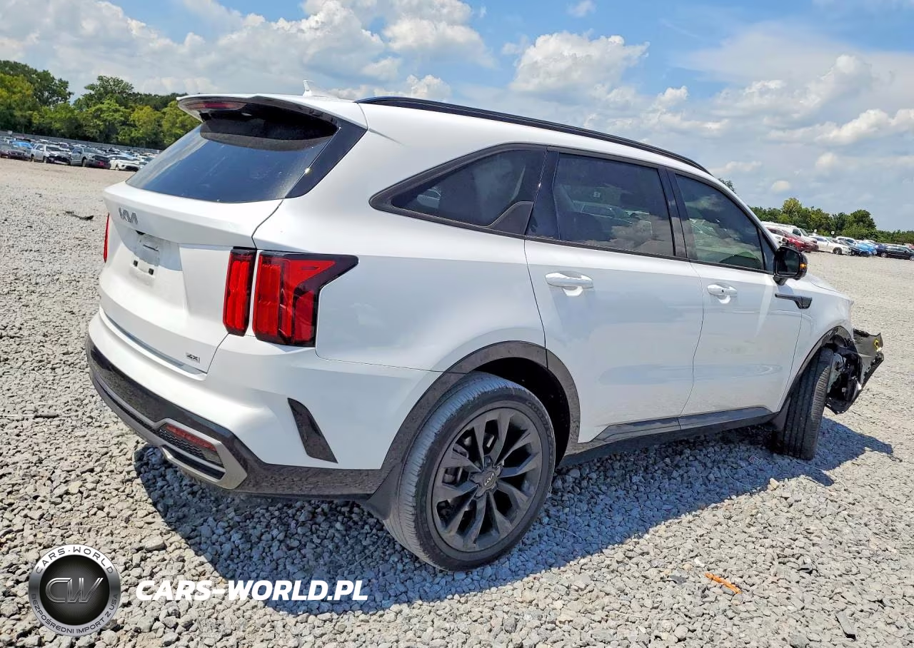 2023 Kia Sorento Sx Prestige VIN:5XYRKDLFXPG180455 - 3