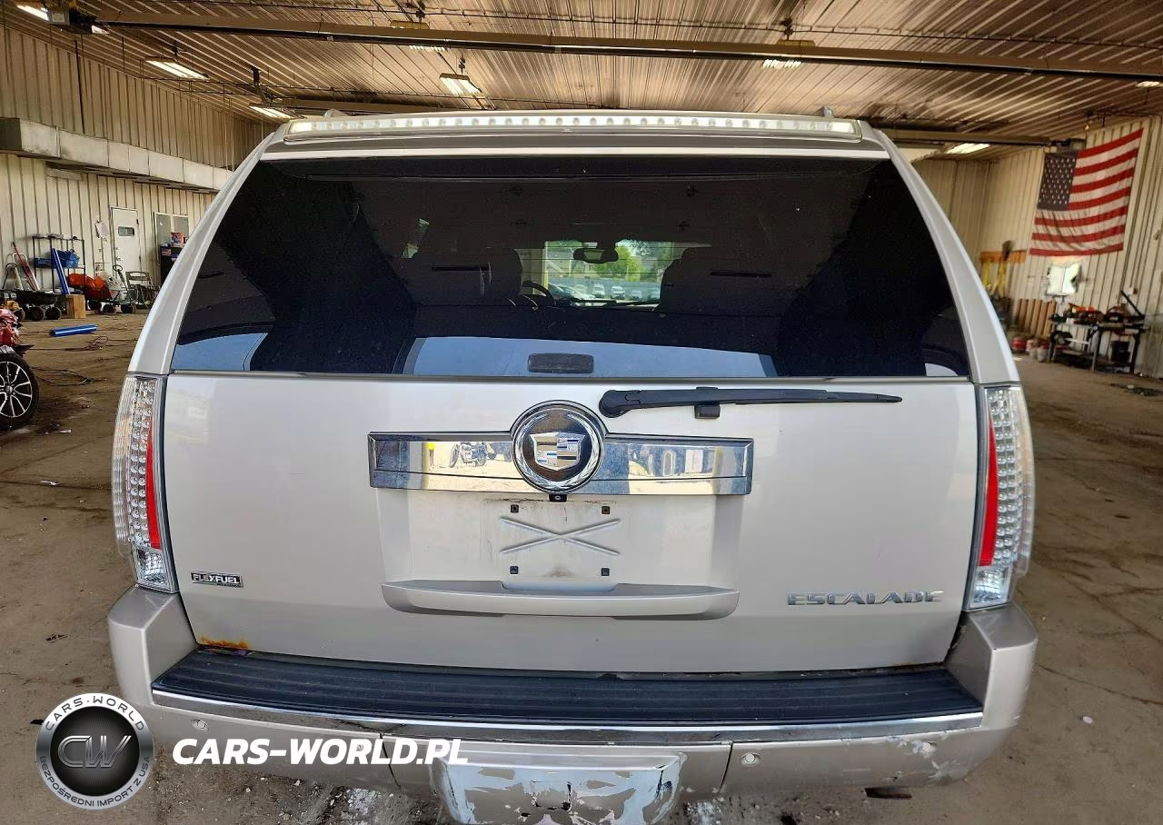 2009 Cadillac Escalade Luxury VIN:1GYFK23279R230666 - 6