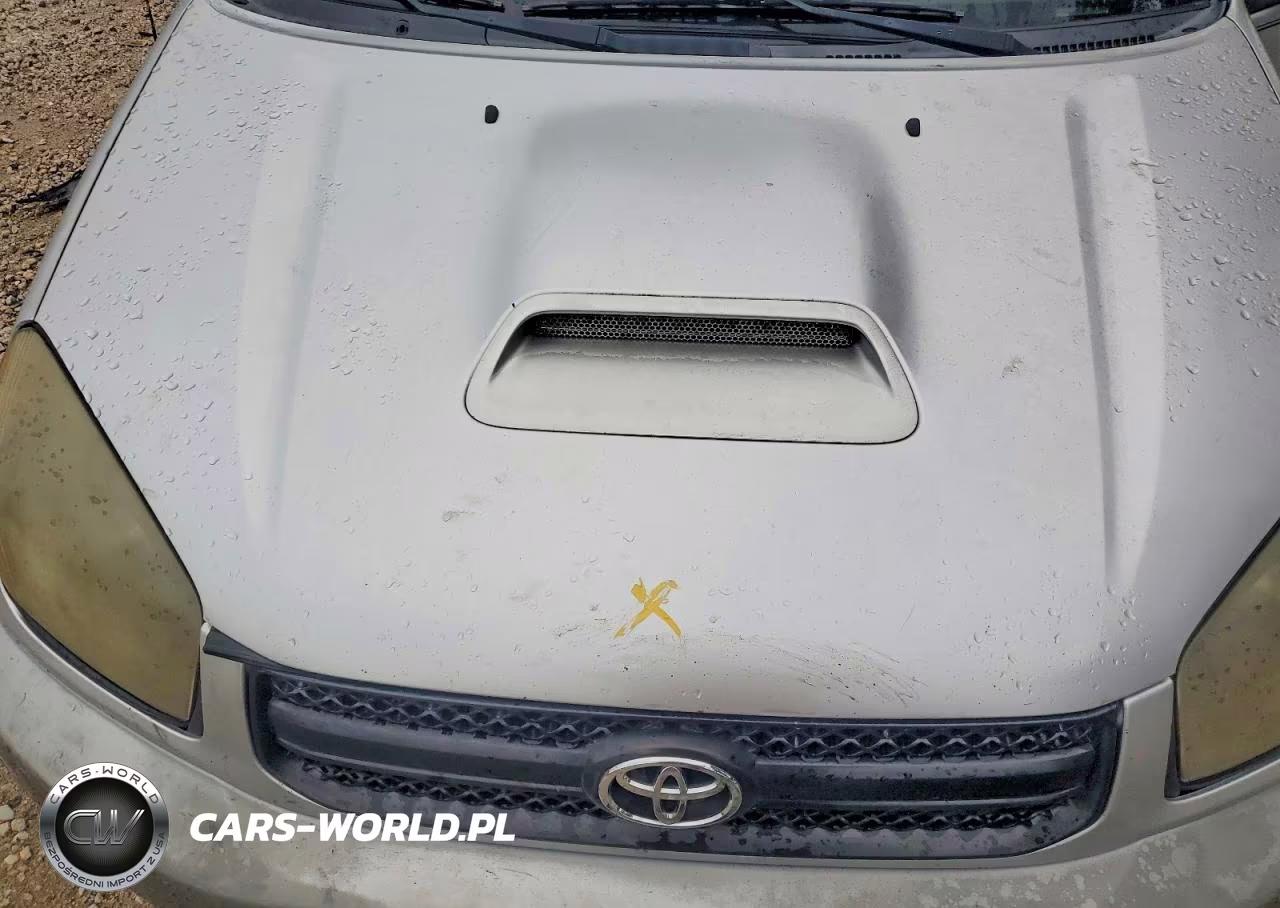 2004 Toyota Rav4 Base VIN:JTEGD20V440029609 - 12