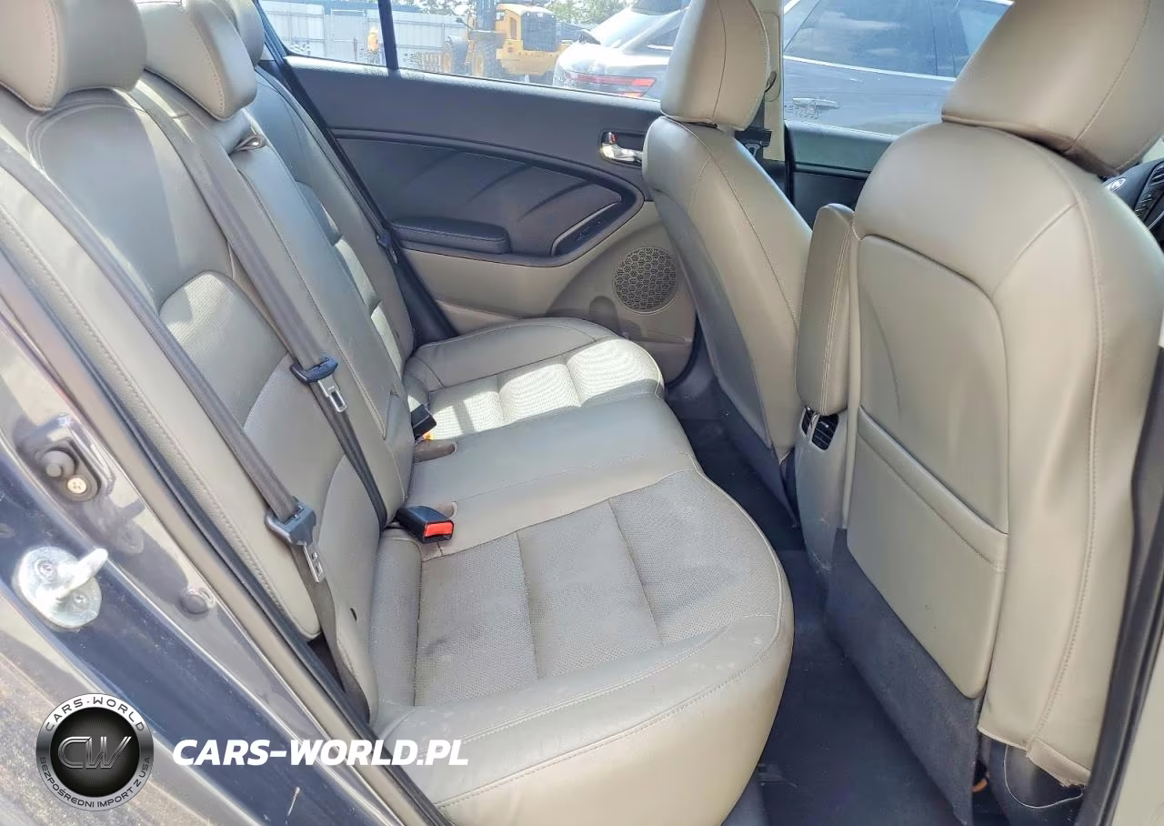 2014 Kia Forte Ex VIN:KNAFZ4A81E5235333 - 10