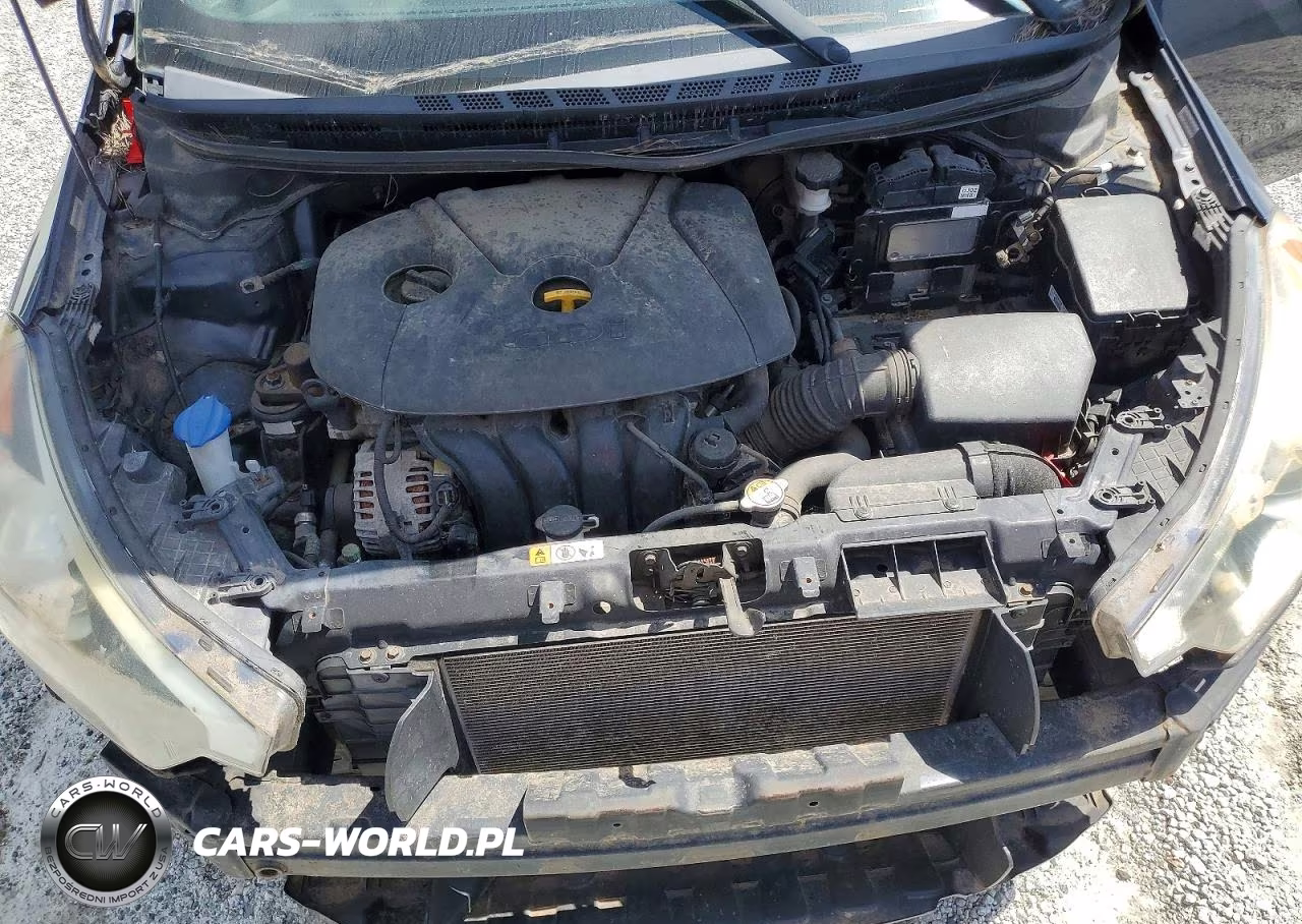 2014 Kia Forte Ex VIN:KNAFZ4A81E5235333 - 11