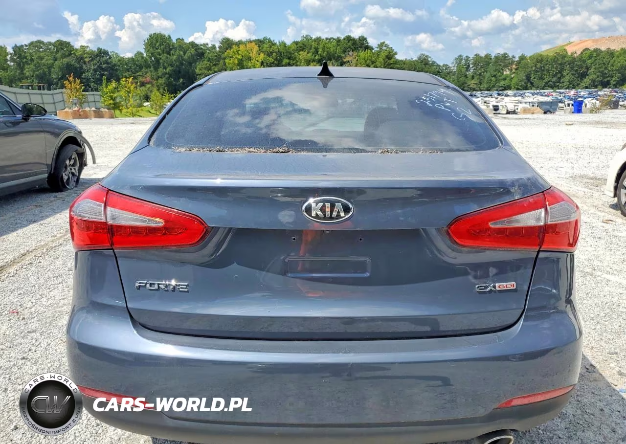2014 Kia Forte Ex VIN:KNAFZ4A81E5235333 - 6