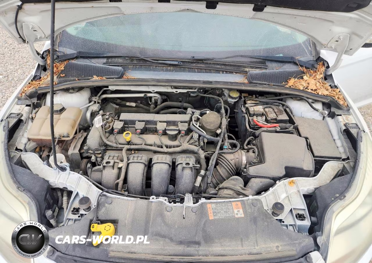2014 Ford Focus Se VIN:1FADP3K29EL326677 - 11