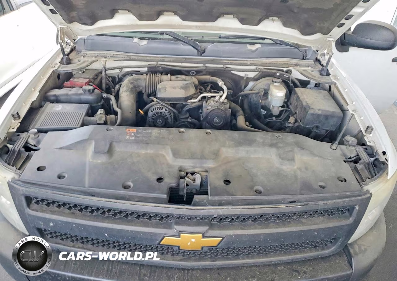 2013 Chevrolet Silverado C1500 VIN:1GCRCPEX5DZ105017 - 11