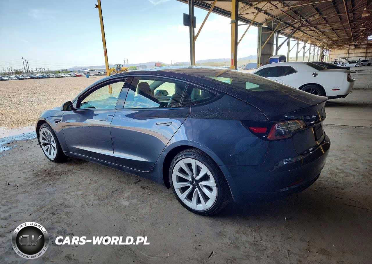2022 Tesla Model 3 VIN:5YJ3E1EA8NF369347 - 2