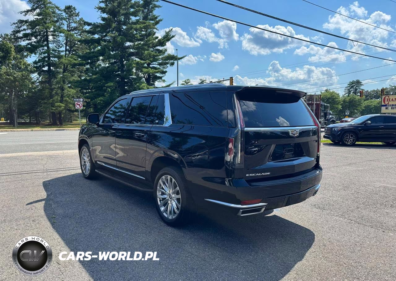 2023 Cadillac Escalade Esv Premium Luxury VIN:1GYS4KKL8PR217697 - 4