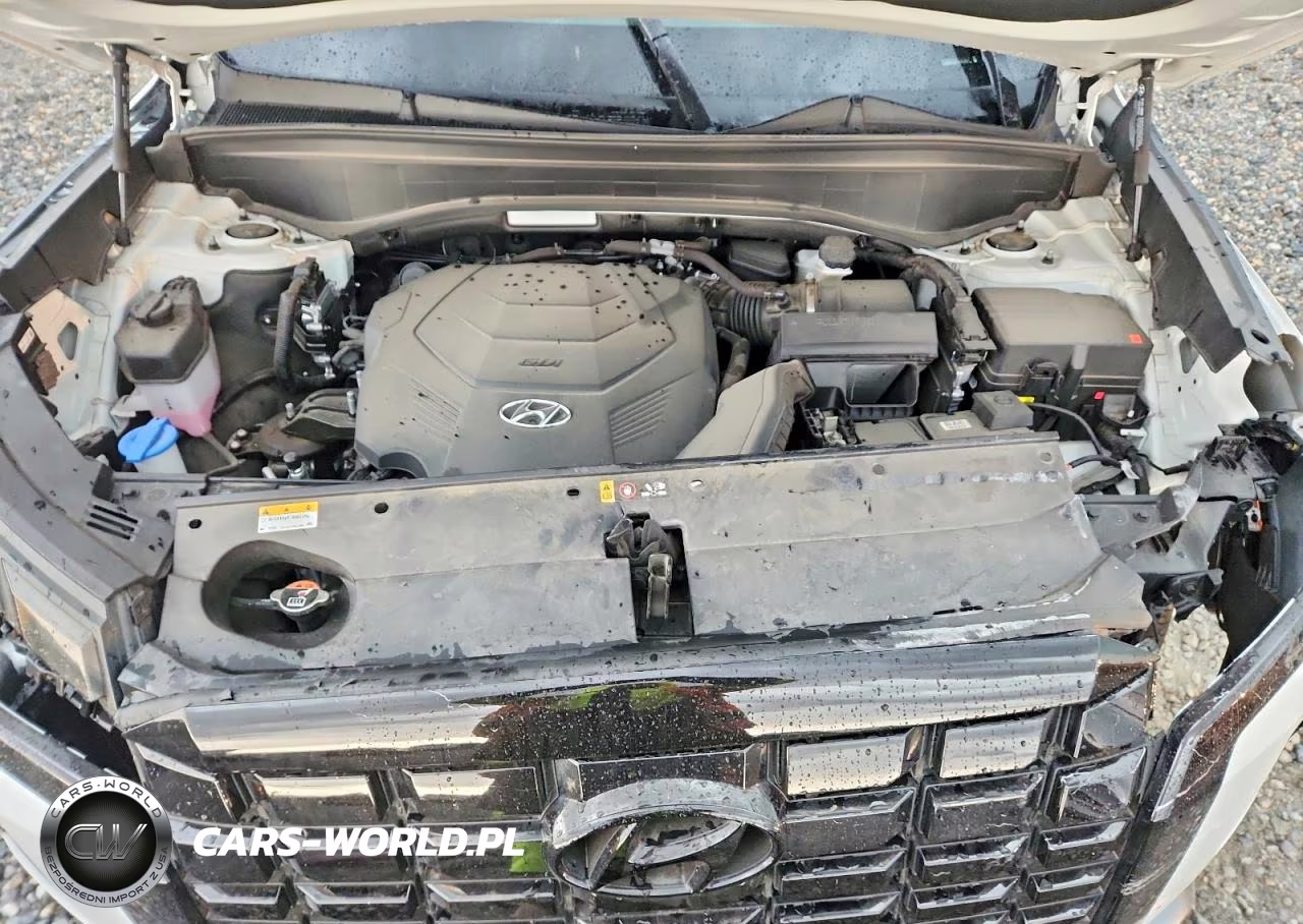 2024 Hyundai Palisade Limited VIN:KM8R5DGE1RU752941 - 12