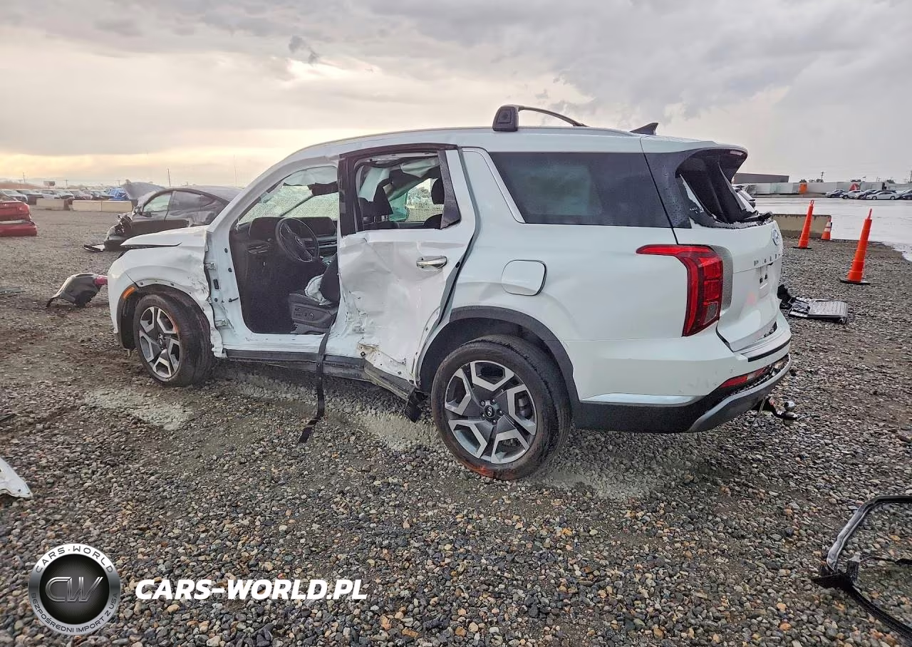 2024 Hyundai Palisade Limited VIN:KM8R5DGE1RU752941 - 2