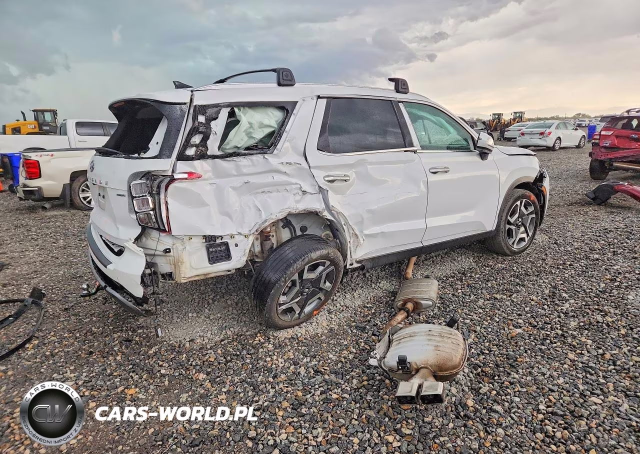 2024 Hyundai Palisade Limited VIN:KM8R5DGE1RU752941 - 3