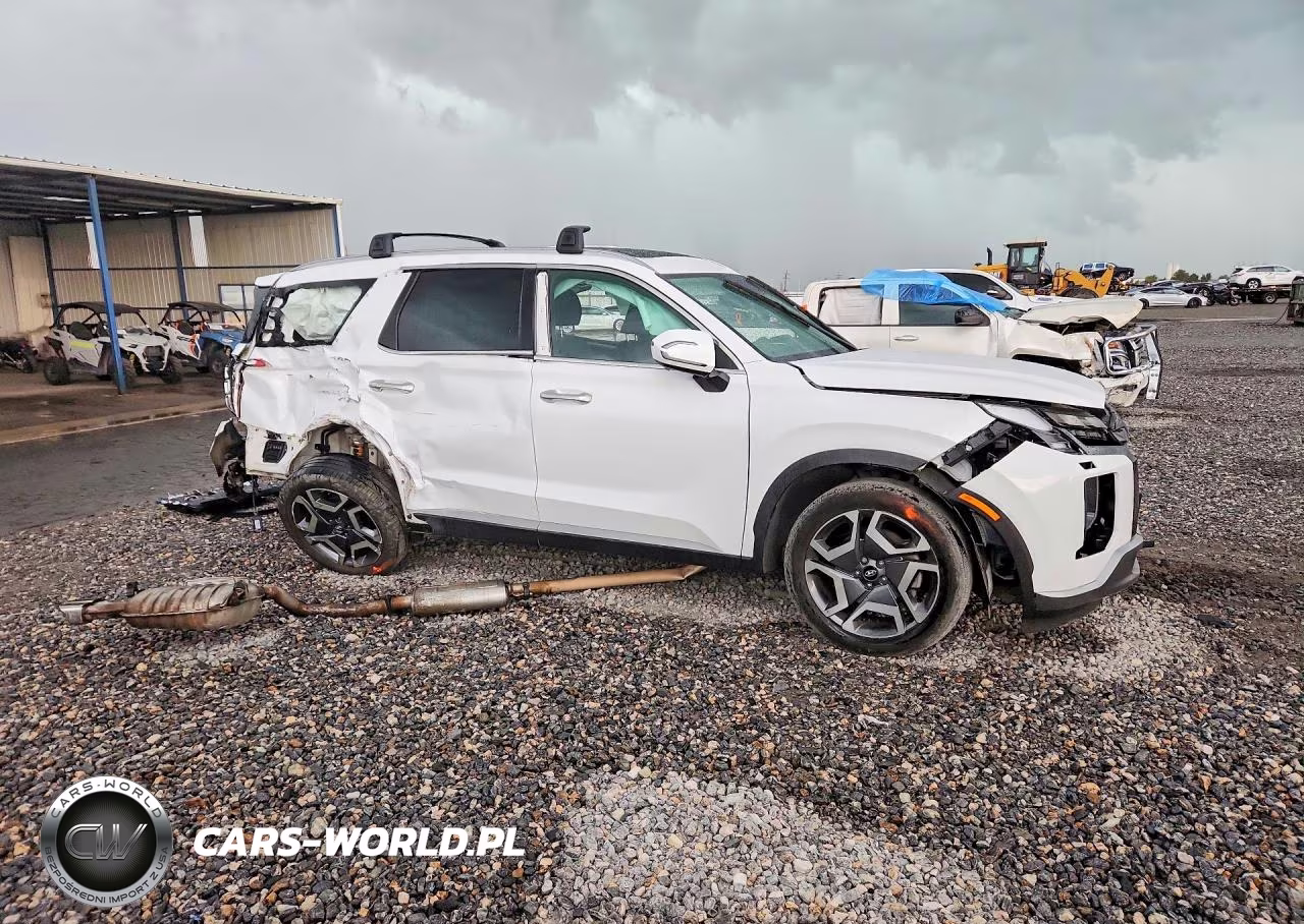 2024 Hyundai Palisade Limited VIN:KM8R5DGE1RU752941 - 4
