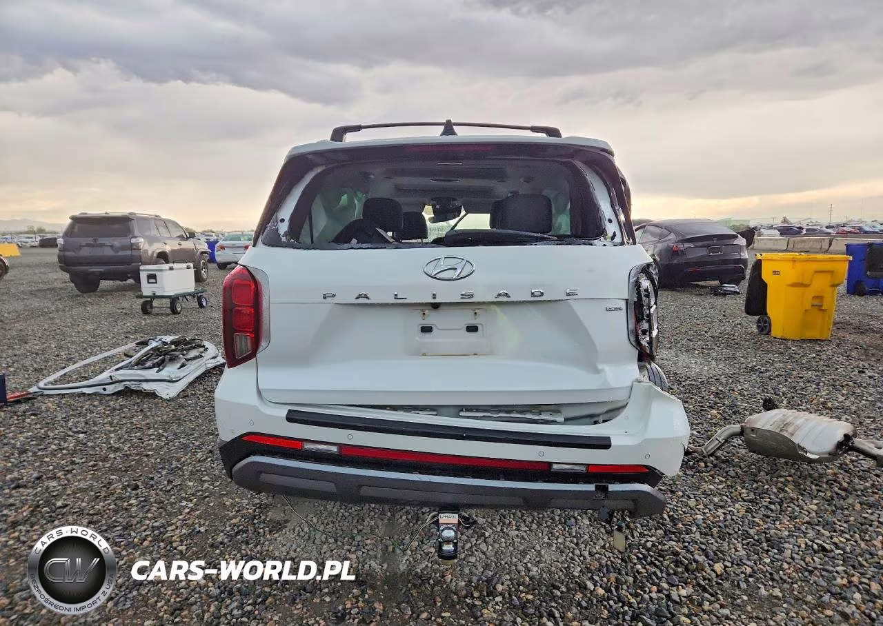2024 Hyundai Palisade Limited VIN:KM8R5DGE1RU752941 - 6