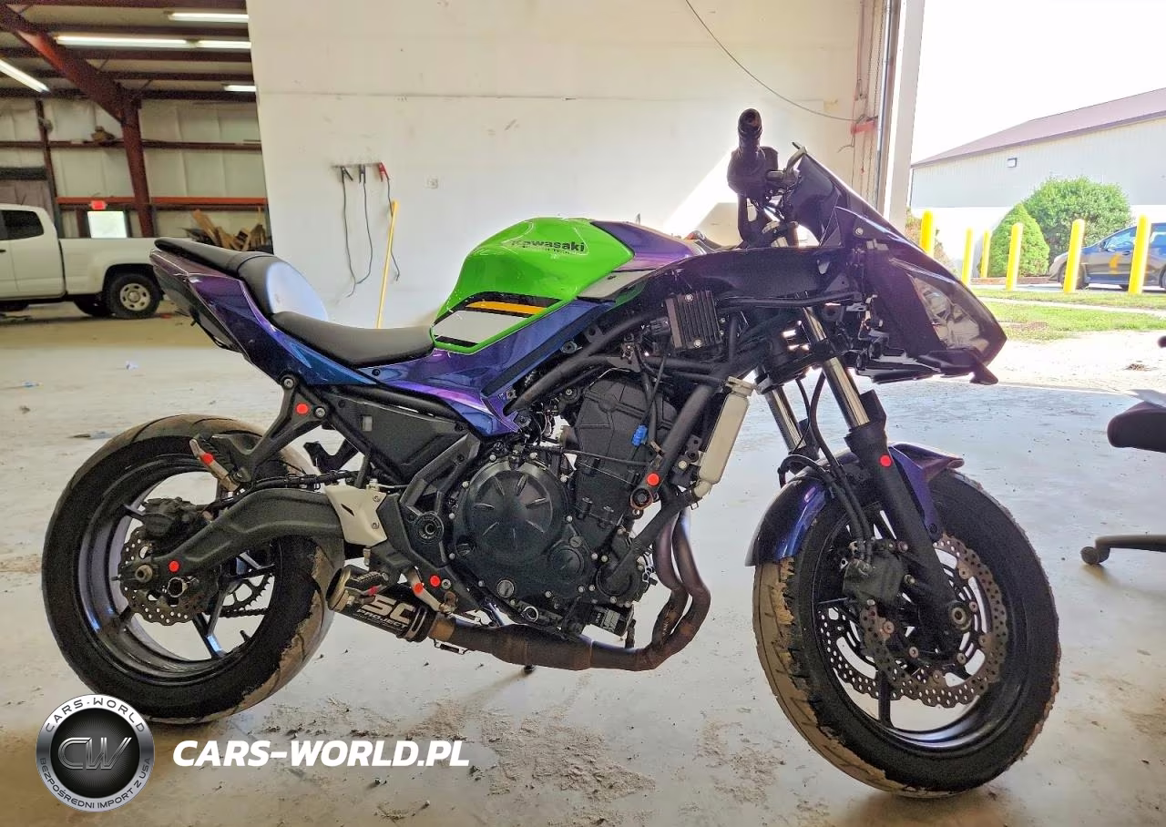2025 Kawasaki Ex650 P – zdjęcie 1 z 9