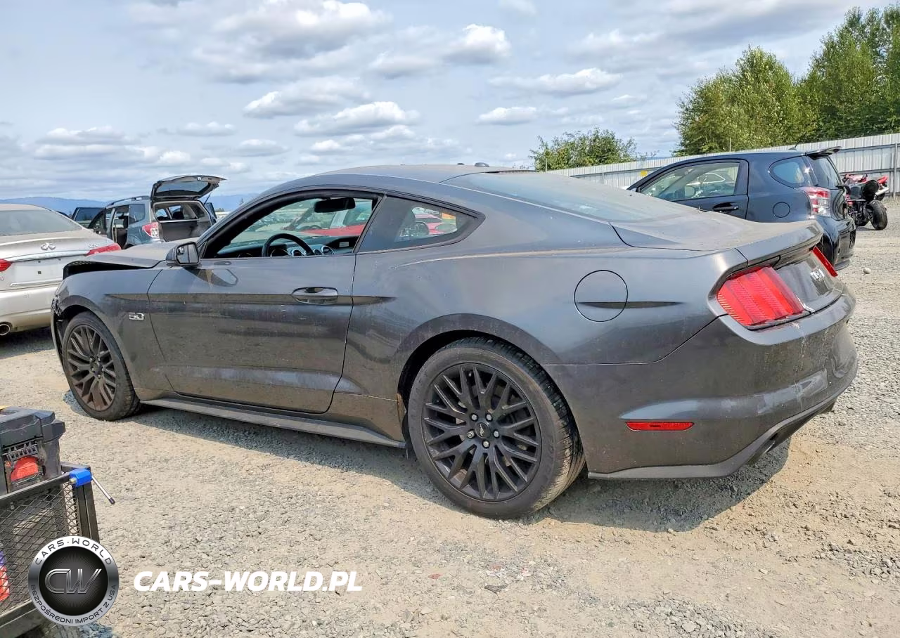 2016 Ford Mustang Gt VIN:1FA6P8CF4G5278679 - 2