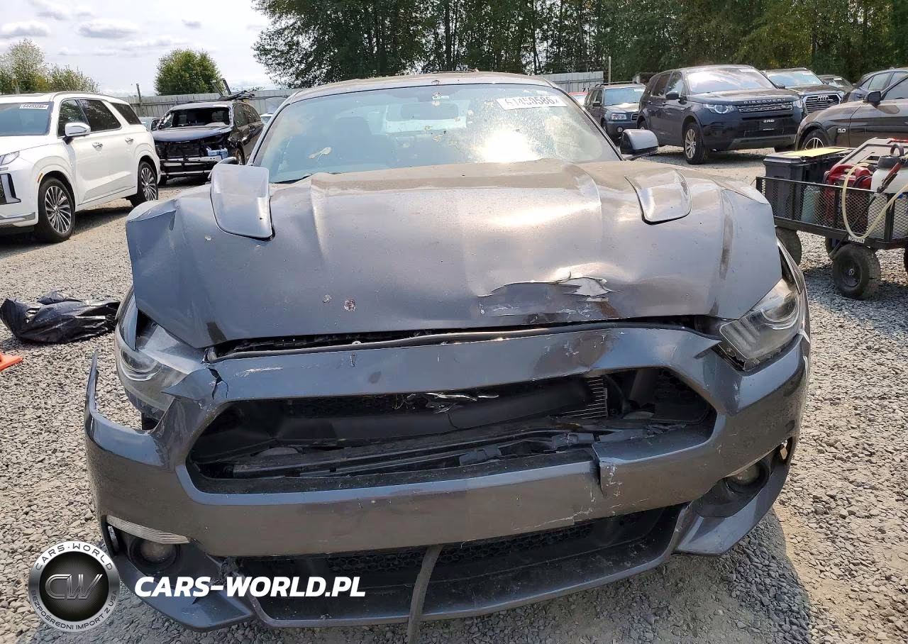 2016 Ford Mustang Gt VIN:1FA6P8CF4G5278679 - 5