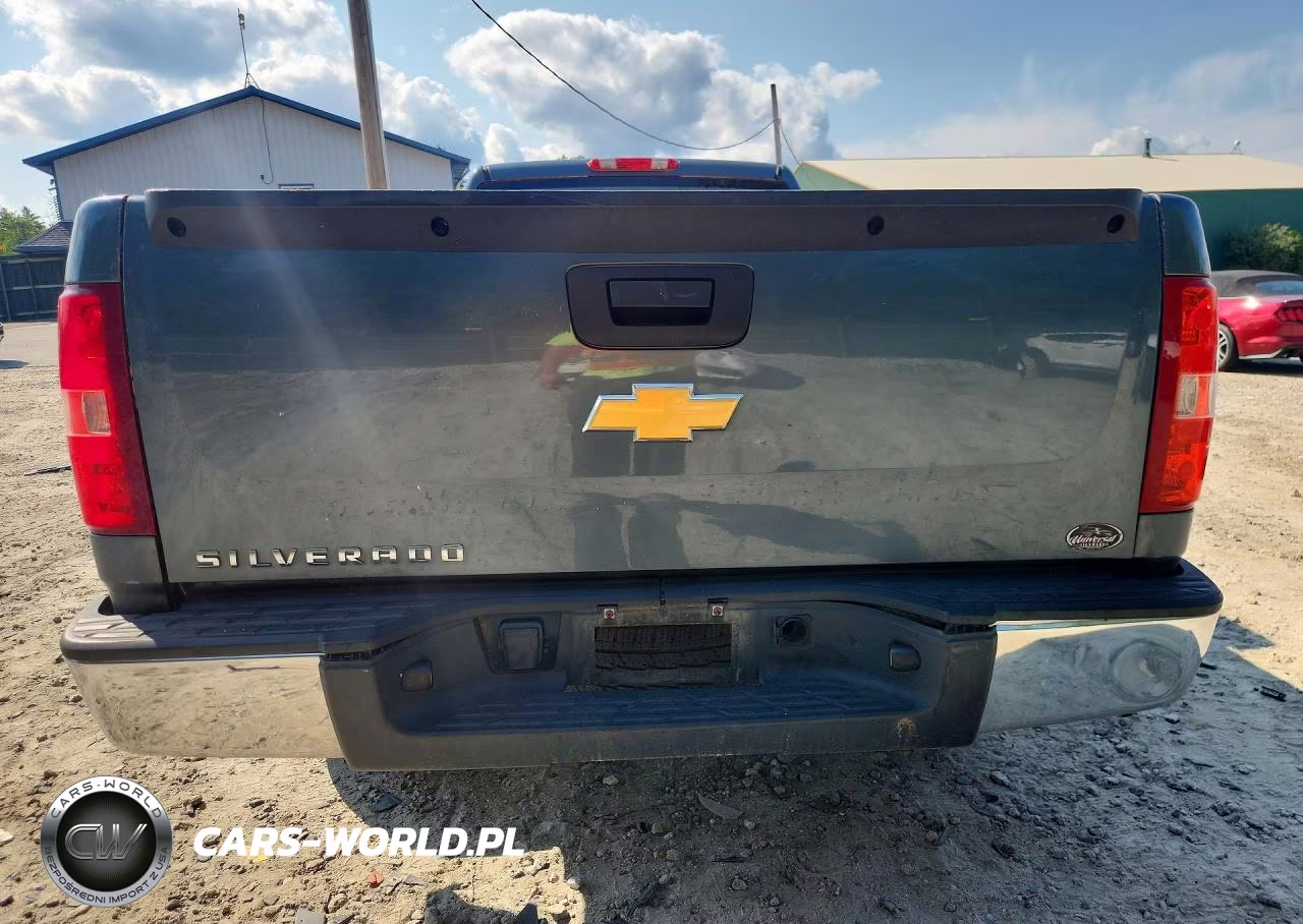 2012 Chevrolet Silverado C1500 VIN:1GCNCPEX1CZ342942 - 6