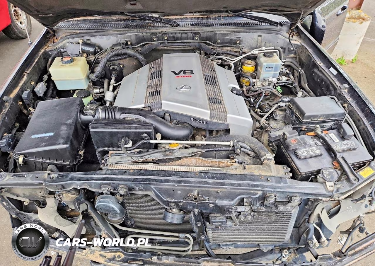 2004 Lexus Lx 470 VIN:JTJHT00W243538120 - 11