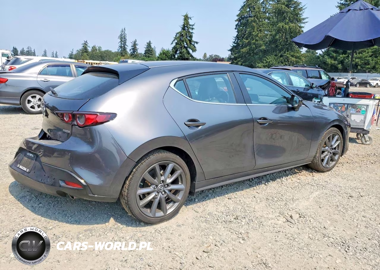 2020 Mazda 3 VIN:JM1BPALM3L1154466 - 3