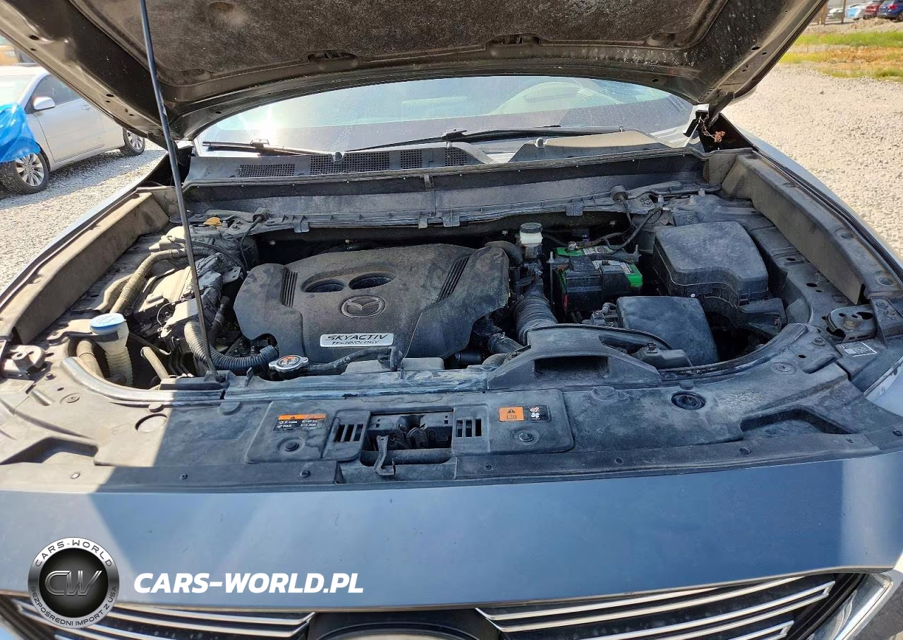 2016 Mazda Cx-9 Signature VIN:JM3TCBEY6G0109868 - 11