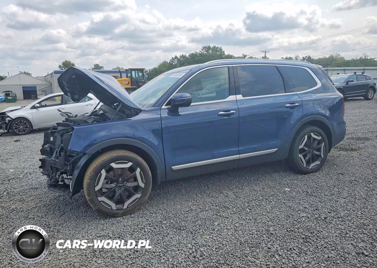 2025 Kia Telluride S VIN:5XYP6DGC9SG579099 - 1