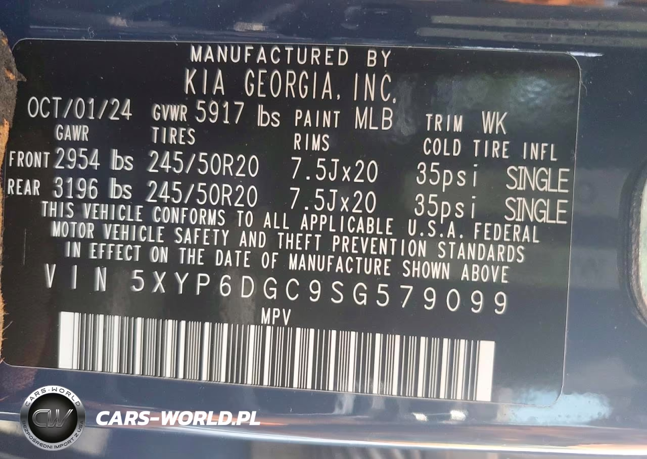 2025 Kia Telluride S VIN:5XYP6DGC9SG579099 - 13